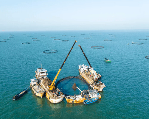 广东省累计开工现代化海洋牧场项目超百个